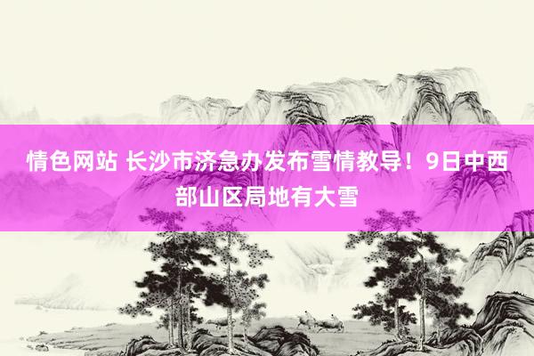 情色网站 长沙市济急办发布雪情教导！9日中西部山区局地有大雪